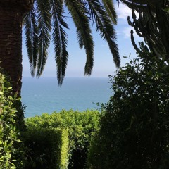 Summer