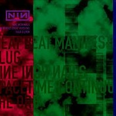 Perfect Drug (NIN remix)