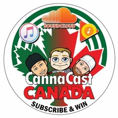 Ep06 Pot Educations, Dispensary Woes, Aurora & More!
