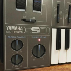 DJ Amal - CS01 Riddim