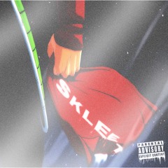 T The Ninja - Skleet