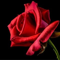 VaRiOuS ArTiStS: RnB, Electronic, dance tech house (no rules)!