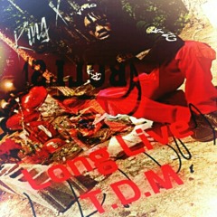 Live In The Skyy - King X