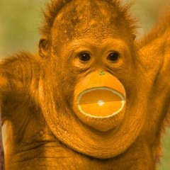 Unite [upbeat] (original)