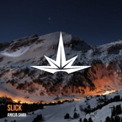 Ankur Shah - Slick