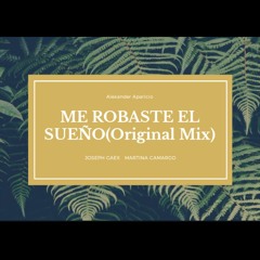 Me Robaste El Sueño(Original Mix)