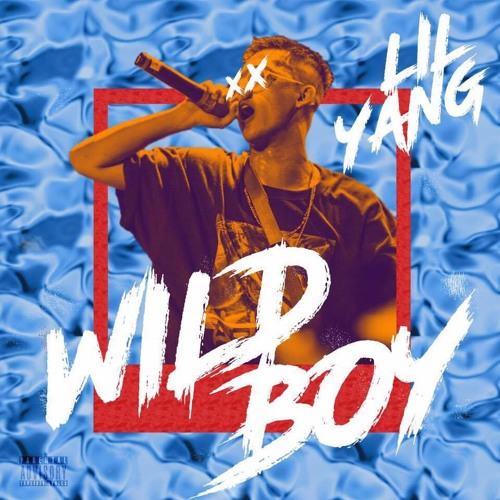 Wild Boy
