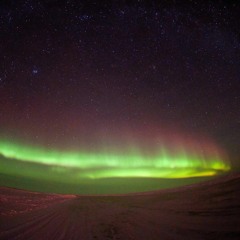 [Fallen Roasts] - Our Broken Aurora Borealis [My Take]