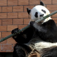 Emi, Clive, Jan improvisations at Arch 1