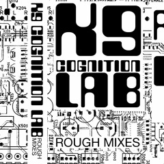 K9CL - 02 - Pub Gals