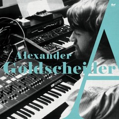 B3 Alexander Goldscheider - Hadrova Panna
