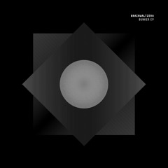 PRIMICIA: BRAINWALTZERA - FX Mod DAISY CHAIN 5o (Provatron's Panevropi '98 Remix)[Analogical Force]