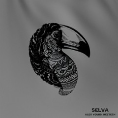 Alex Young, Deetech - Selva (Original Mix)