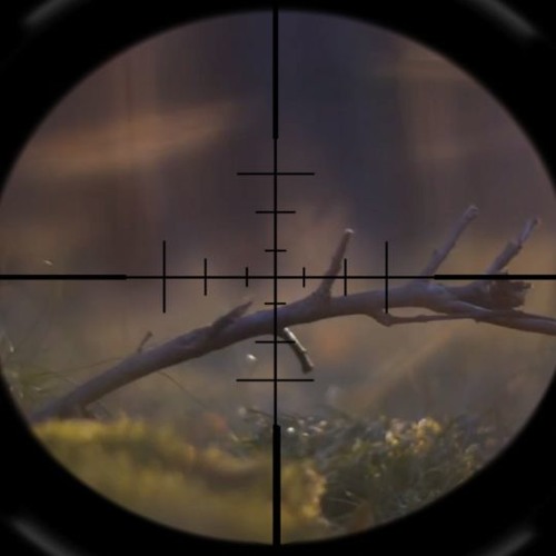 Reverse 2