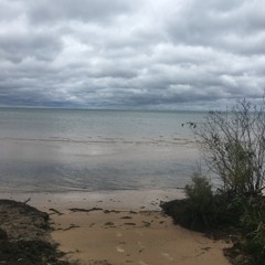 Dreams [prod. anteven]