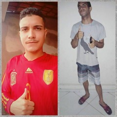 HOJE EU VOU ACABAR COM TUA MARRINHA - MC ROGER MC ROGÊ MR BIM - DJs 2J DA SERRA & MATEUS DE CAMPOS