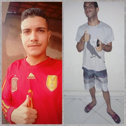 HOJE EU VOU ACABAR COM TUA MARRINHA - MC ROGER MC ROGÊ MR BIM - DJs 2J DA SERRA & MATEUS DE CAMPOS