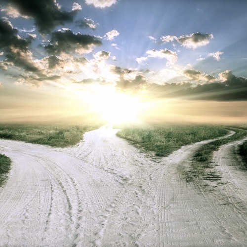 We are all from somewhere else (excerpt)