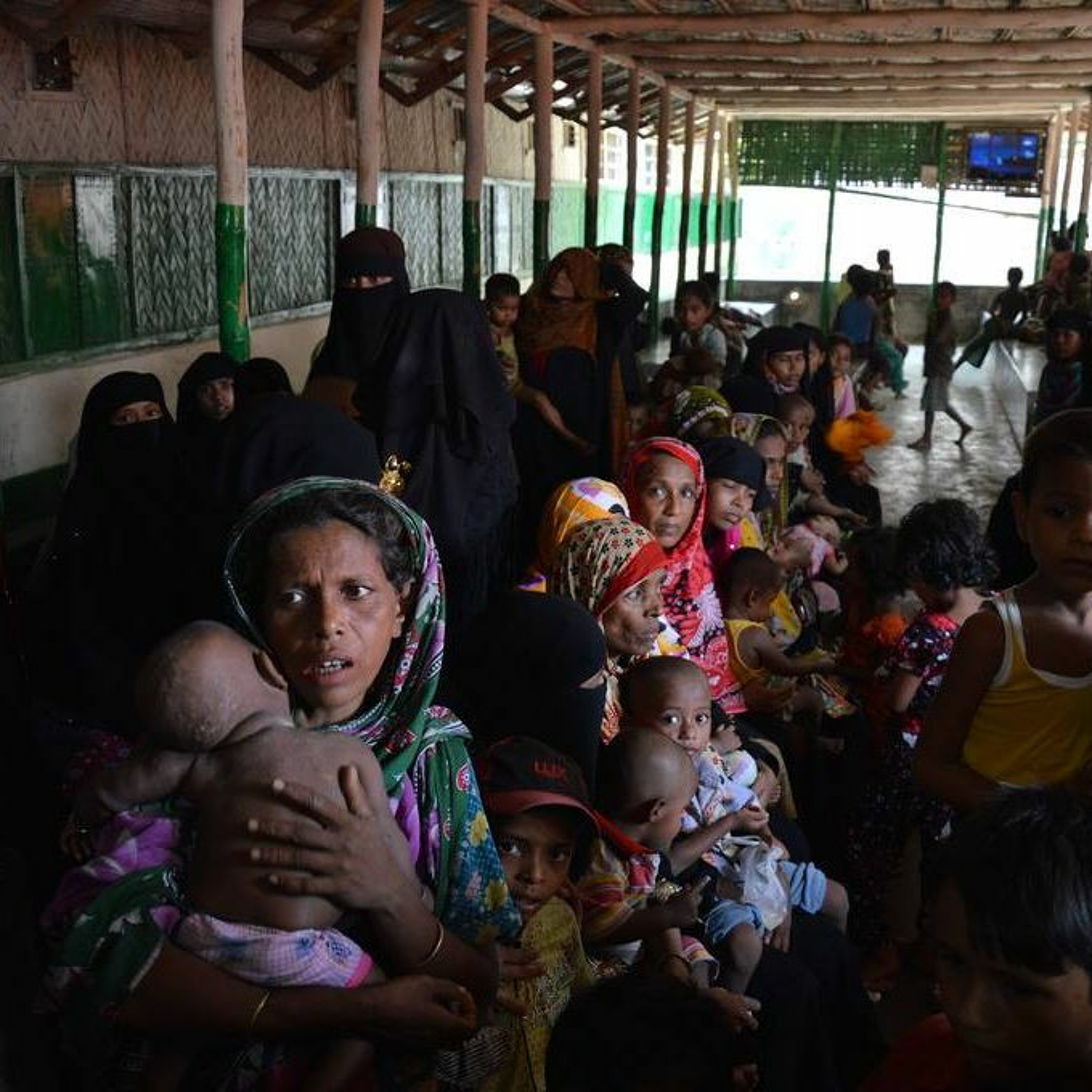 Terrorized at home: The Rohingya Crisis - Slow News episode artwork