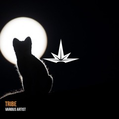 Various Artists - Tribe