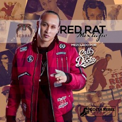 Red Rat Dancehall Mixtape by Docta Rythm Selecta (2018)