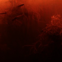 live @ Altes Finanzamt, 25.05.2018