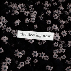 the fleeting now