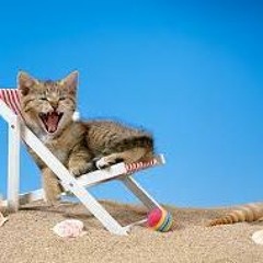 Top 40  Summer  Feel  It!!