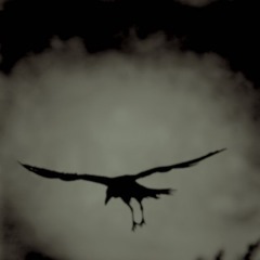 Black Bird / Dark Techno