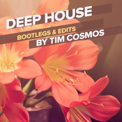 Say It Right (Tim Cosmos & Gumanev DeepTool)