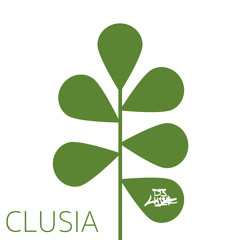 Clusia