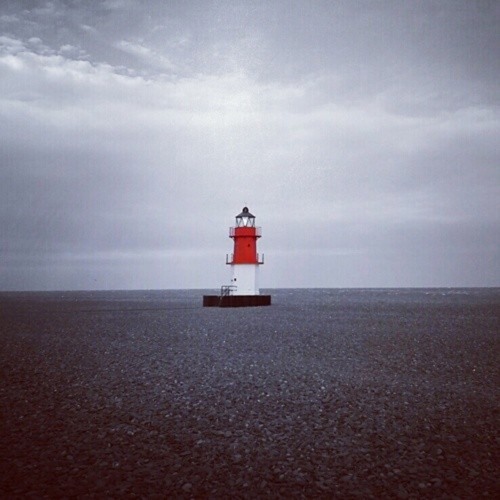 Alone In This World