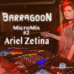 MicroMix Vol. V feat. Ariel Zetina