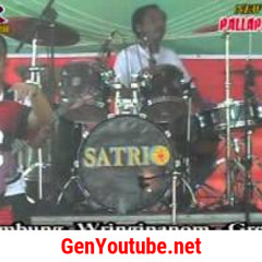 Teman_brodin new pallapa