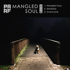Mangled Soul