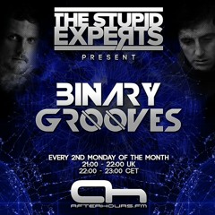The Stupid Experts - Binary Grooves - 004