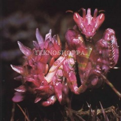 TEKNOSHOPPA - ghosting newtek.