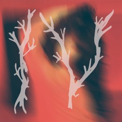 whatisdoms - Broken Clocks Acoustic