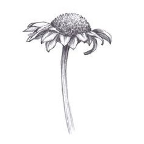 Interpretations (2009)