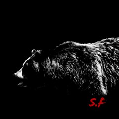 ✦ THE SHADOW OF THE BEAR BY SILMARWEN FAELIVRIN ✦ ALBUM METAMORPHOSIS