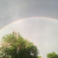 Mojo Horseteeth Goes To School