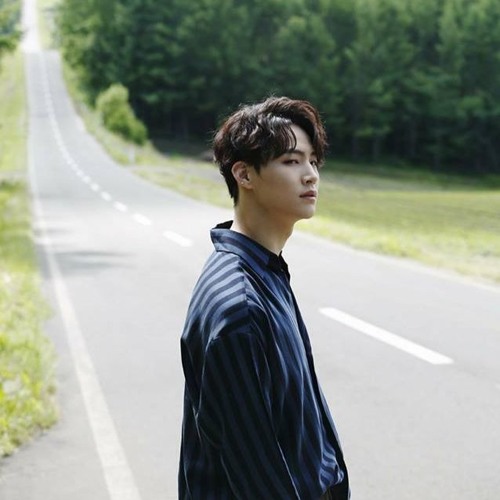 Lim Jaebeom - Fade Away