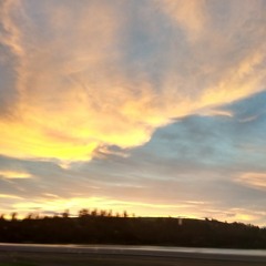Sounds from Wednesday evening