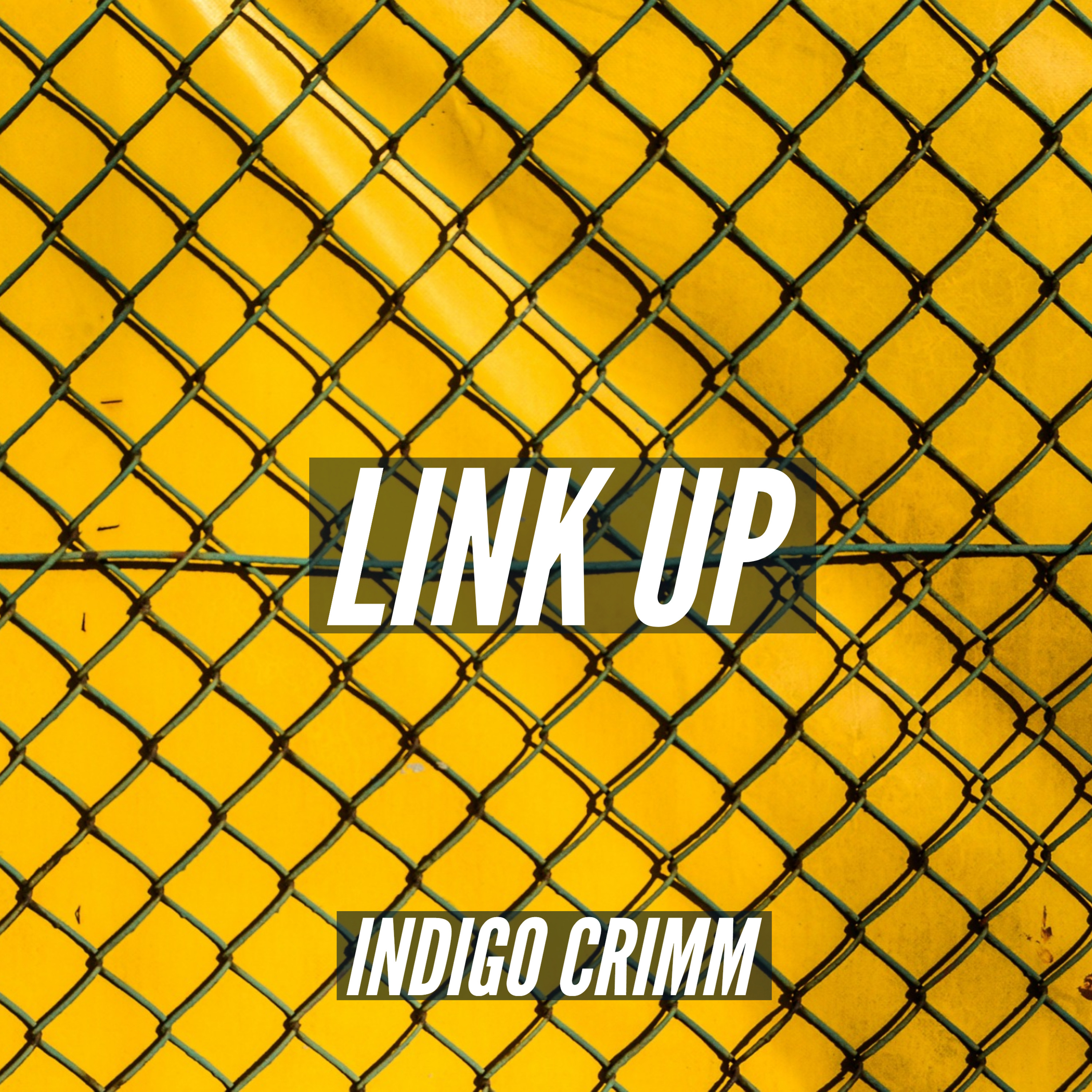 LINK UP episode artwork