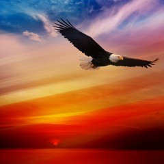 (17) Message From The Master