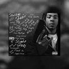 Savage Sheen - Slight Crazy ( Official Audio)