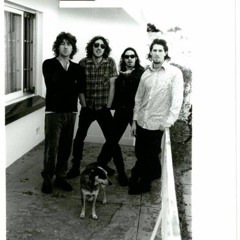 If I Could / The Drones 1999