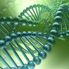 Jazz Fusion "Convergence"