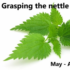 20180513 Grasping The Nettle 1 Beginning With The Bible