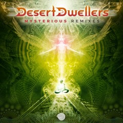 Desert Dwellers - Bird Over Sand Dunes (Divination Remix)